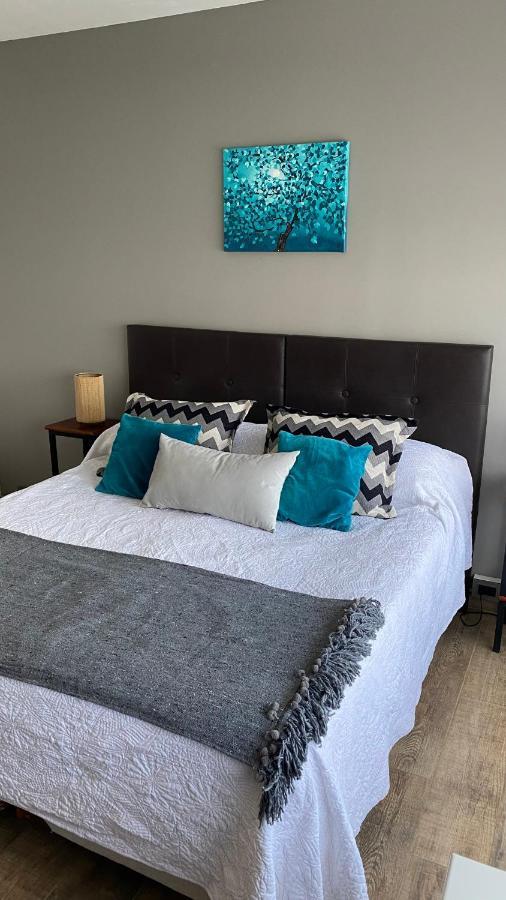Departamento Centrico Apartment San Carlos de Bariloche Ngoại thất bức ảnh